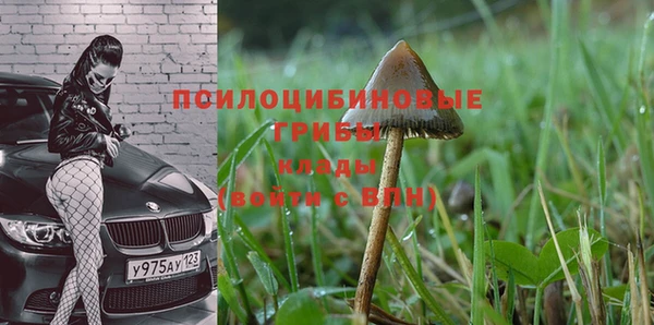 дурь Абинск