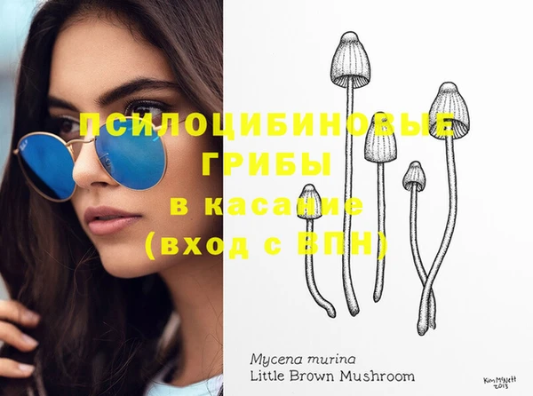 дурь Абинск