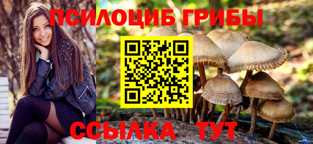 Псилоцибиновые грибы Cubensis  Вход с VPN  Югорск 