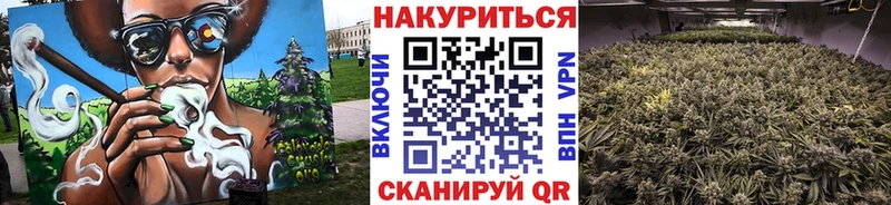 Конопля план  как найти   Югорск 